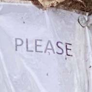 An ivy-covered tree with a laminated paper sign nailed to it. The sign only says 'please' in small letters