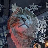 A first floor window display of a lion from below.