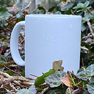 A clean, white mug perched on the corner of a fence, surrounded by green ivy