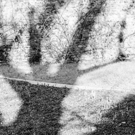 On an excursion round a lovely old garden my two grandsons stopped on a low stone bridge to look at water gushing out of the opposite taller wall forming a meandering stream flanked by shallow banks bedecked by long eerie shadows made by the trees in the sunshine.