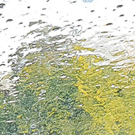 In a car wash, the brush is halfway down the front windscreen, with water cascading down the screen