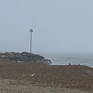 A sandy beach with the horizon fading into fog and a seabird flying overhead