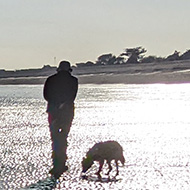 Sea gently lapping sandy shore as sun sets with people walking towards the sun along the shore