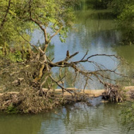 A luscious green valley with forested sides in bright green and a dark brook running down the centre