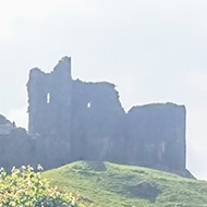 Upon visiting a castle ruin in Wales i took this photo showing a bank of late bluebells at the top of a lovely old dry stone wall, with a view of the castle ruin looming through the heat haze looking faintly there. It was too hot to brave the steep climb to the castle, so a look from below had to suffice. Next stop an ice-cream parlour!