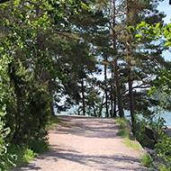 A path in the forest by water.