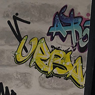 Two old wardrobe doors, newly covered in graffiti wallpaper, leaning up against some patio doors, with the garden in the background.