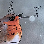 A greetings card with a photo of a robin in the snow. Someone has drawn on a party hat, sunglasses, a party horn and a t-shirt saying LET'S PARTY!