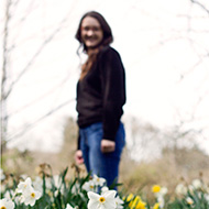 Daffodils and portrait