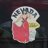 We see stickers on the rear window of a 1959 Ford Edsel Villager Wagon that show its travels