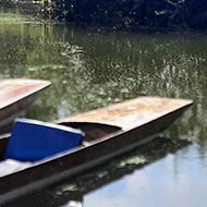 A group of wooden punts moored at the edge of a river.