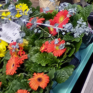 A lovely florist shop front with a beautiful autumnal display in the window and lots of bright orange and yellow flowers and green foliage underneath