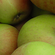 Basket of cooking apples