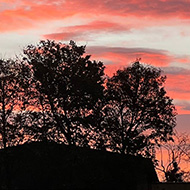 Pink and red sky over buildings