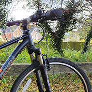 A mostly black bike leans against a wooden bench. Yellow and orange leaves lie on the path.