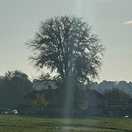 Sun shining over playing fields