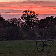 Red sky over Minchinhampton Common at sunset.