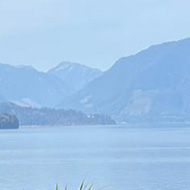 A Wurlitzer keyboard in front of the sea and mountains and purple flowers