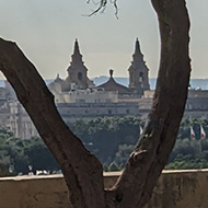 View looking over the grand harbour from the gardens framed by trees and purple flowers