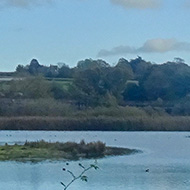 View from a bird hide overlooking ponds