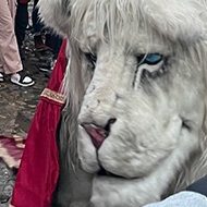 Christmas celebrations of an animatronic lion