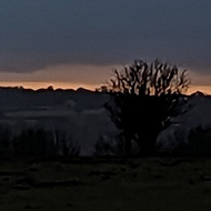 Sun setting over Minchinhampton Common