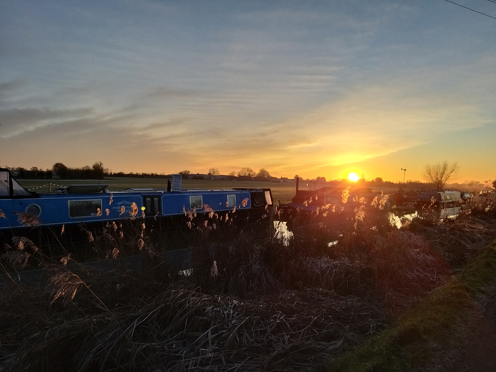 The setting sun glowing up the feathery reeds on the bank of the canal.