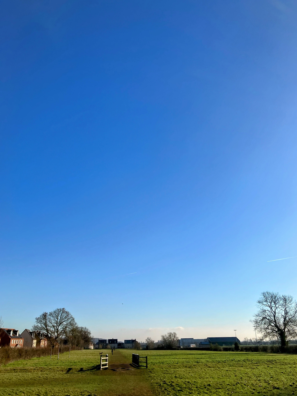 Picture of a blue sky and green grass stretching into the distance!