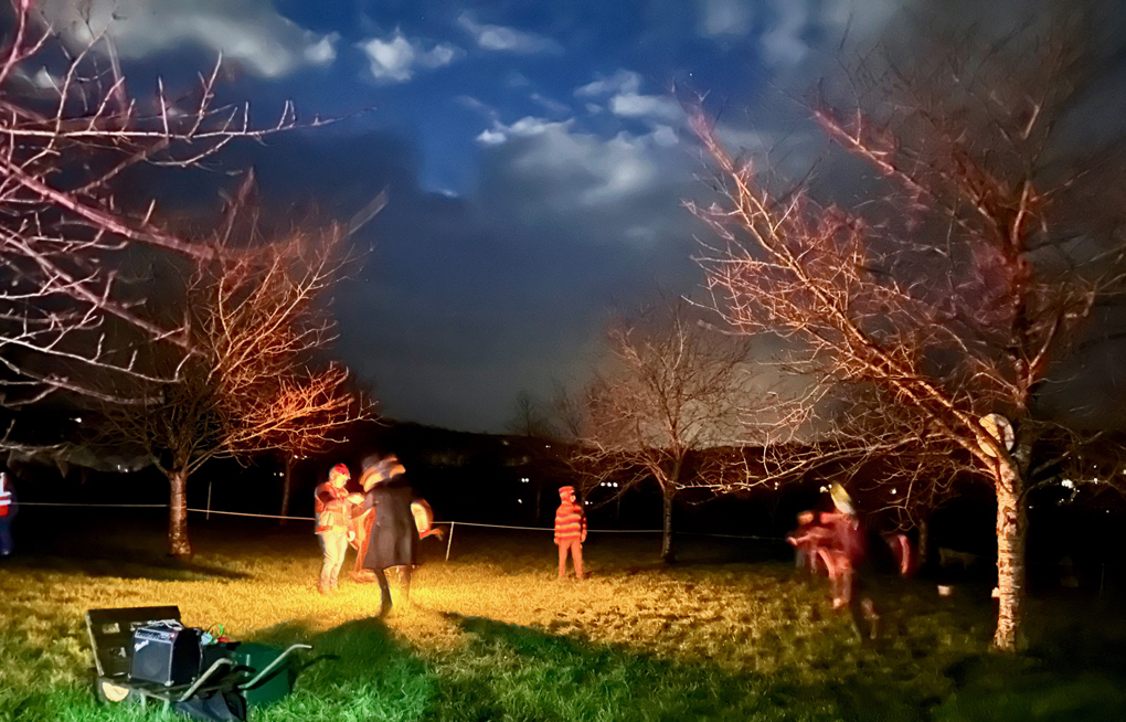 Night-time wassailers standing amongst apple trees