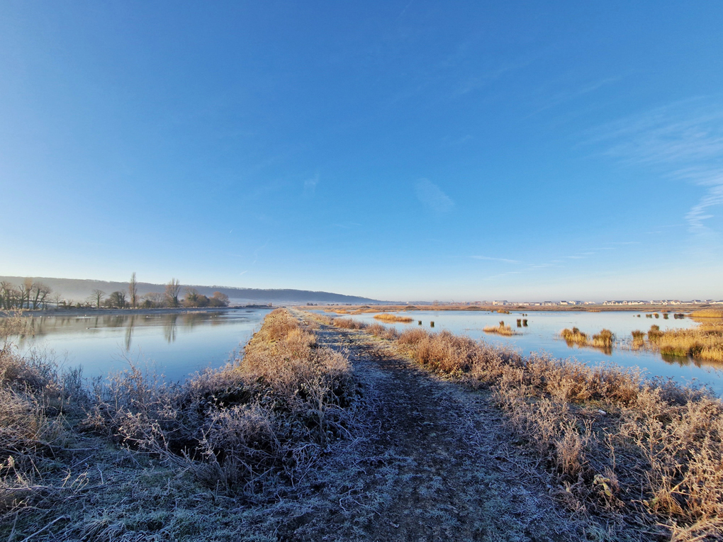 Frost-covered ground and reeds with clear and bright blue sky overhead