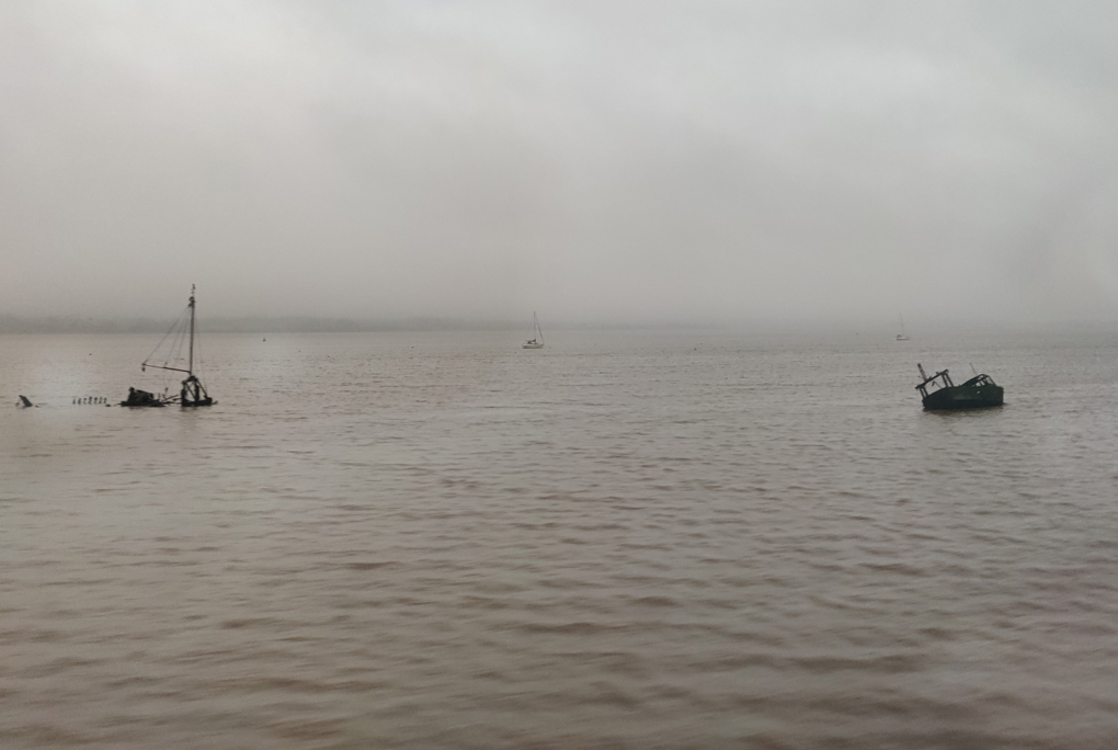 An old wooden boat sunk in the mud and an old tide marker are in the foreground, behind is the wide estuary of the River Exe shrouded in mist.