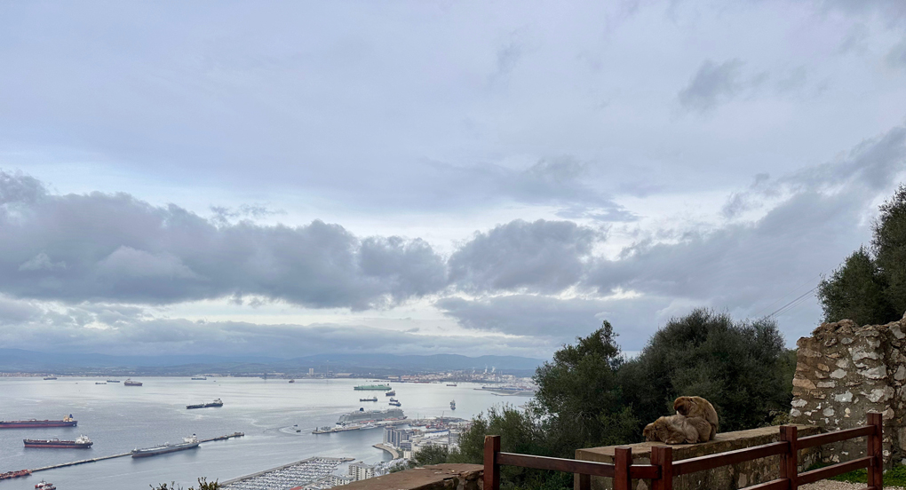 Two monkeys on Rock of Gibraltar overlooking bay