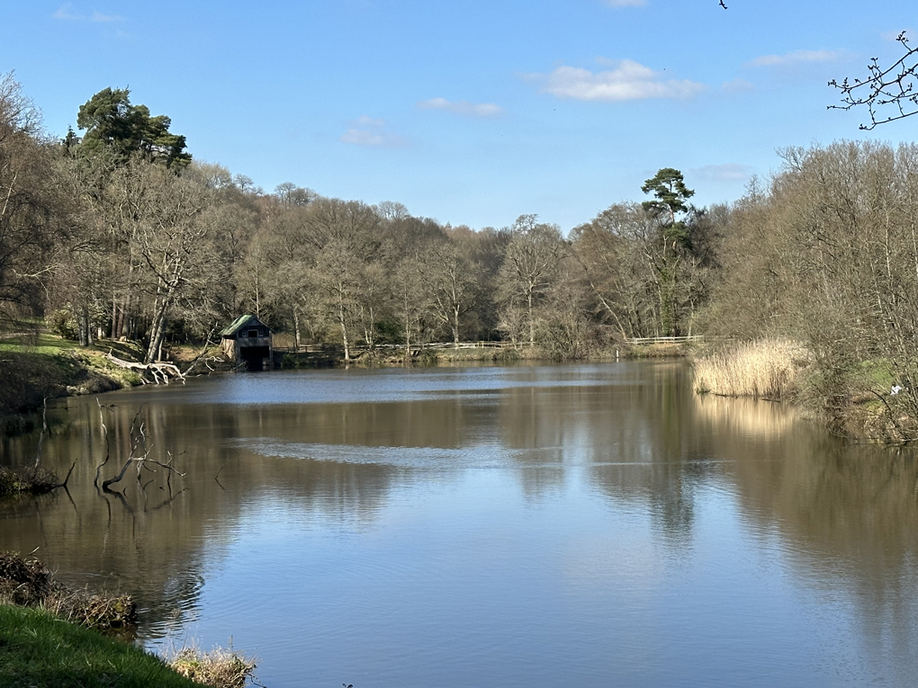 We see the lake at Winkworth Arboretum