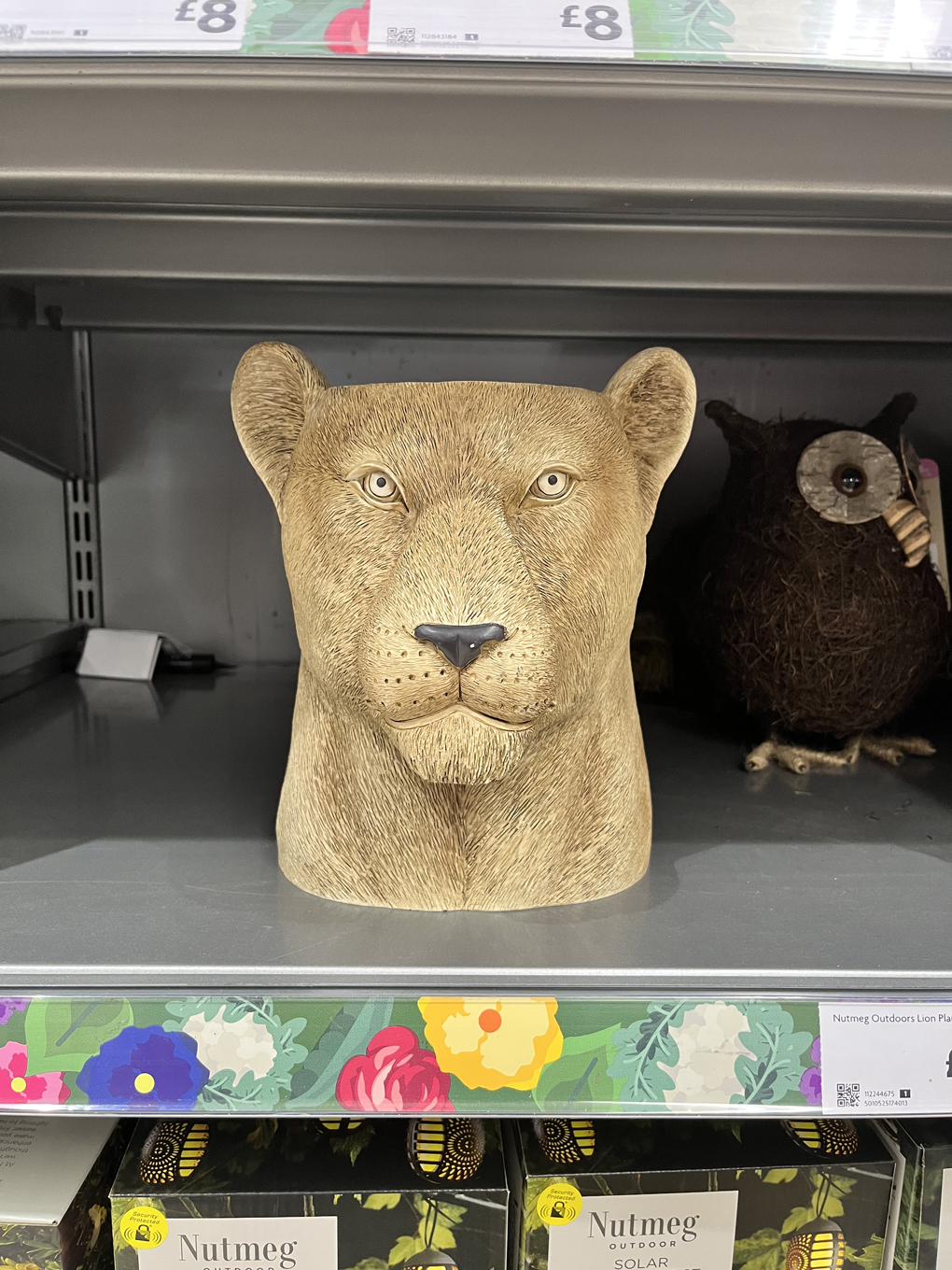 A plastic plant pot in the shape of a lion’s head sat on a supermarket shelf