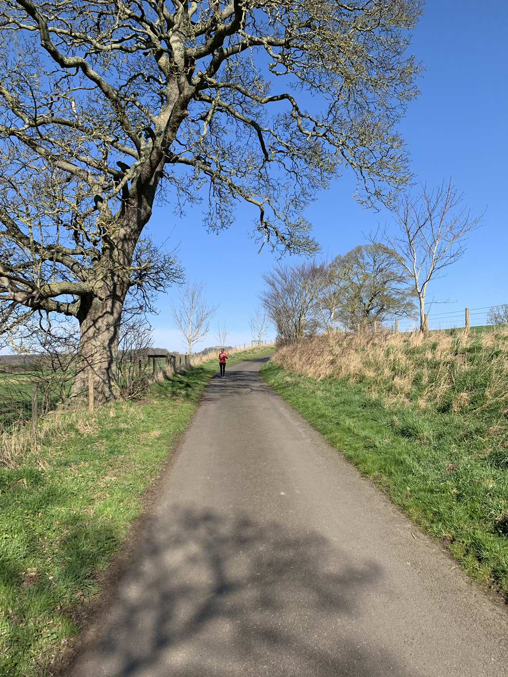 Woman running in the distance in a countryside landscape.