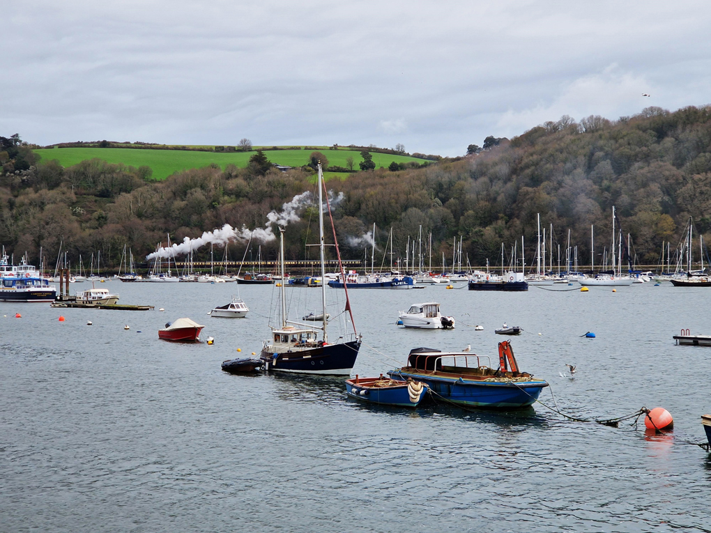 Many different-coloured boats on water in front of brown trees and green hills, with a steam train passing in the background