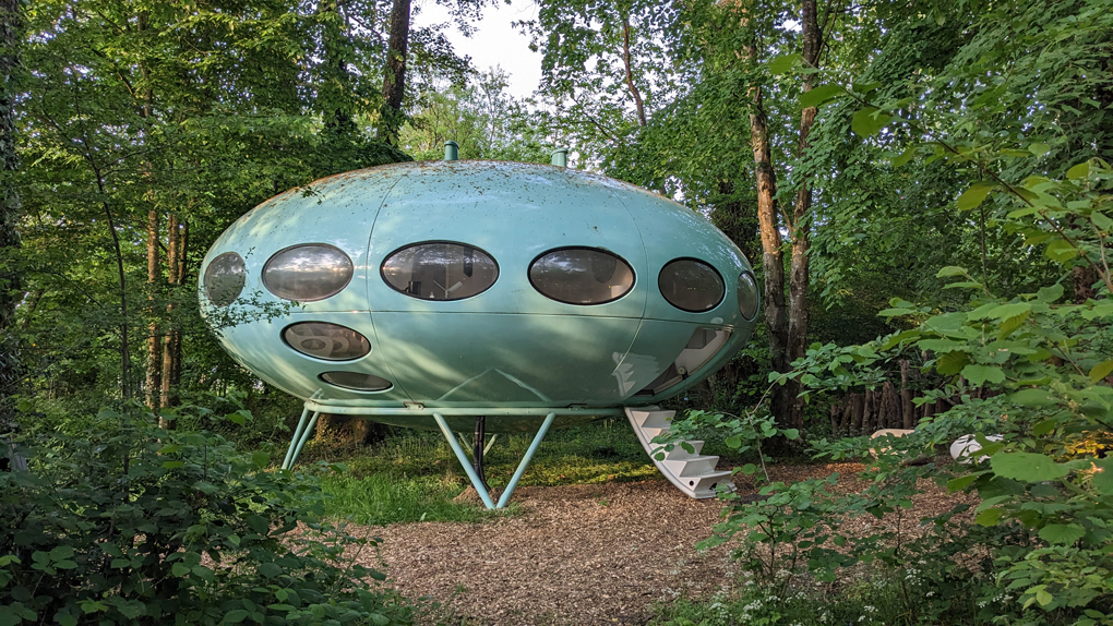 A flying saucer shaped structure positioned in woodland.