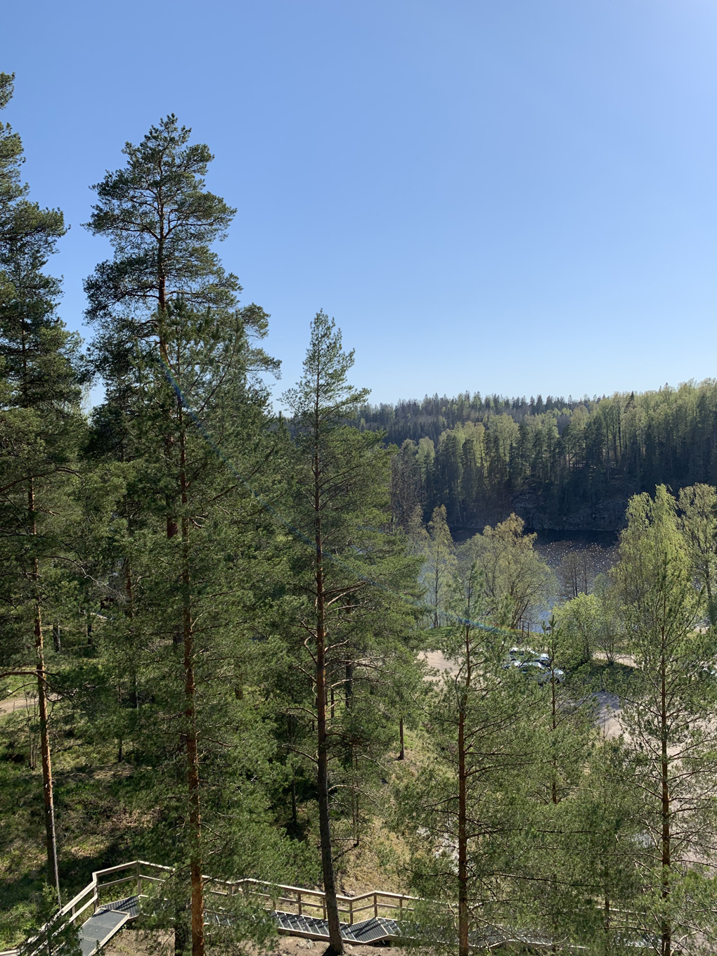 Forest view of treetop with a lake visible below.