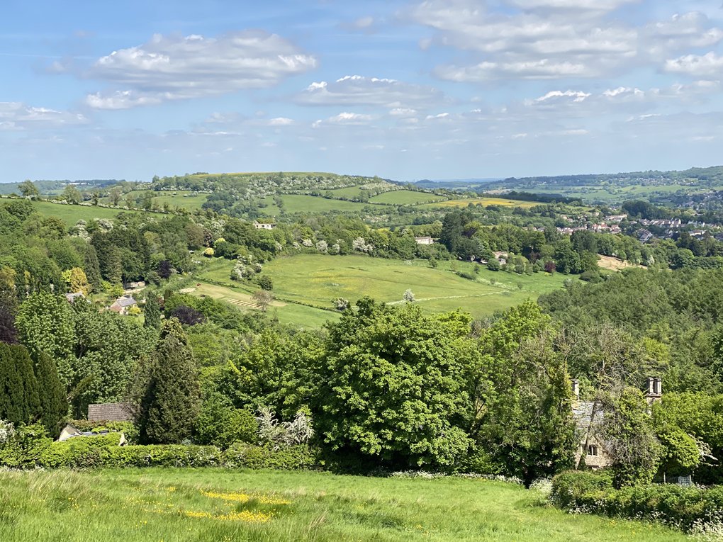 A wide view of rolling green hills under the sunshine, with flowering fields, trees and houses