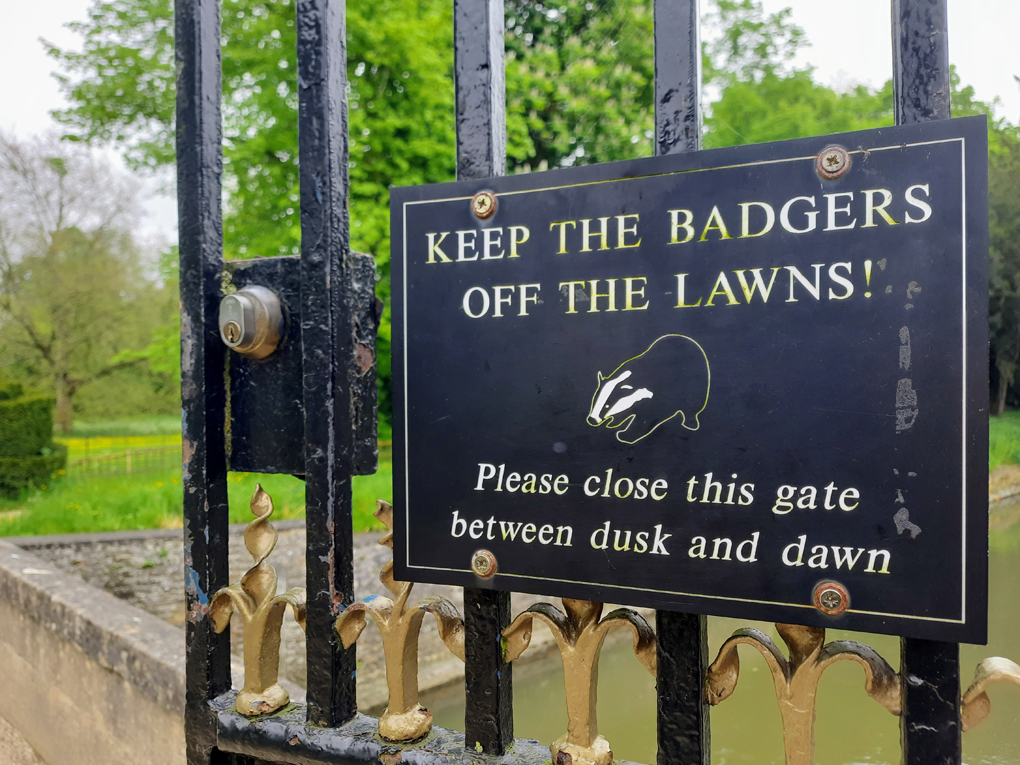 A metal sign attached to a wrought iron gate. The sign reads 'Keep the badgers off the lawns! Please close this gate between duck and dawn' with a picture of a badger in the centre. The gate is ajar leading to a lush green meadow behind it.