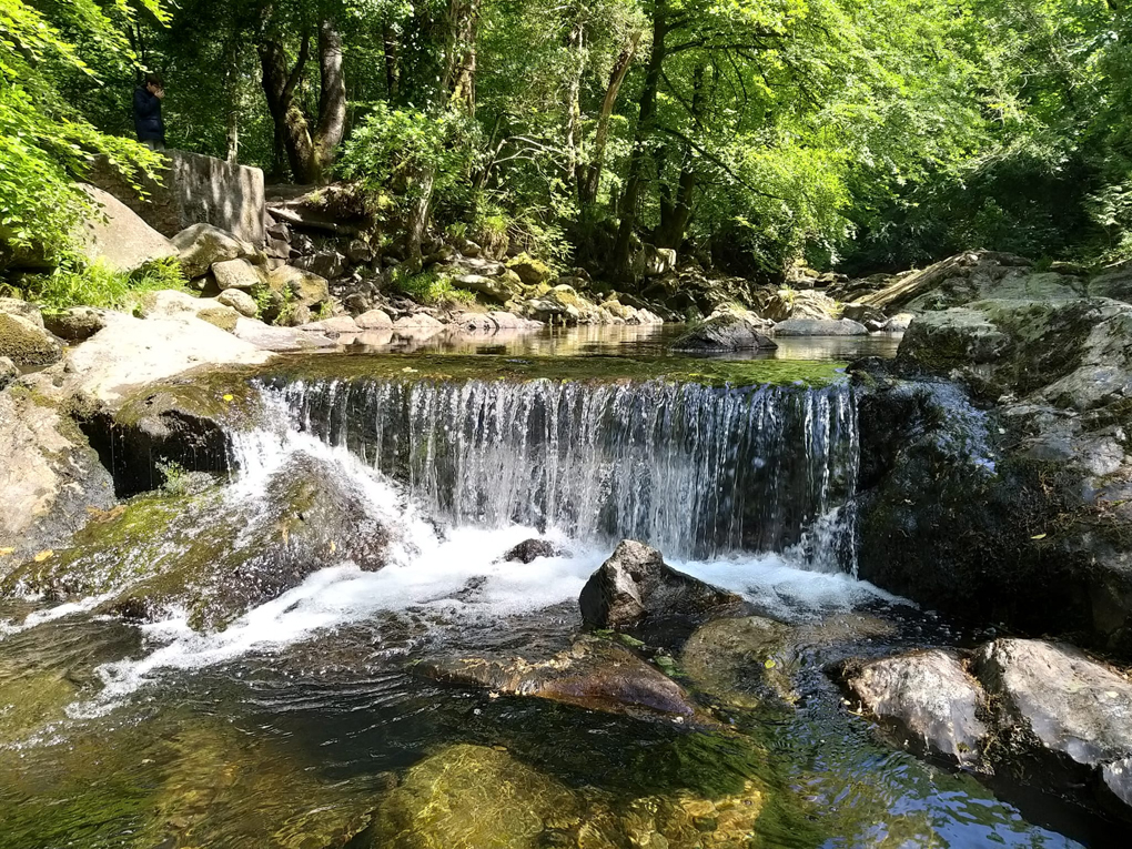 A river, mini waterfall, rocks and beautiful green trees