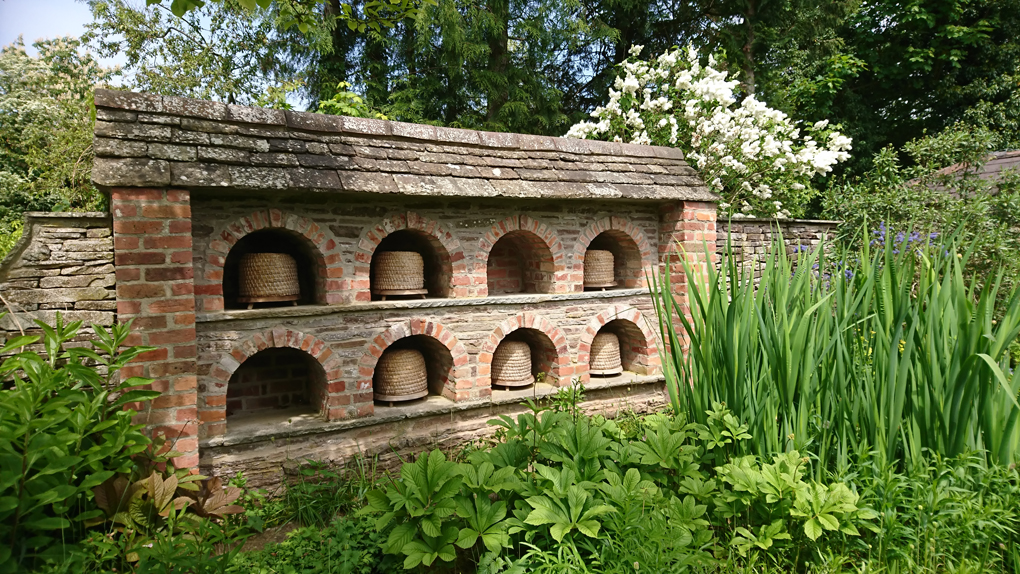 upon visiting a beautiful garden with a Mediaeval Monastery in Herefordshire we encountered a strange six foot wall with a roof and eight cubby holes in which the beehives (upturned basket domes) were housed. The bees form naturally curved honey combs inside the baskets. To collect the honey the bees are either killed or made homeless in the process. A shocking and sad fact! Each year the bee-keeper needs to start again by collecting a new wild swarm. Poor bees!!!