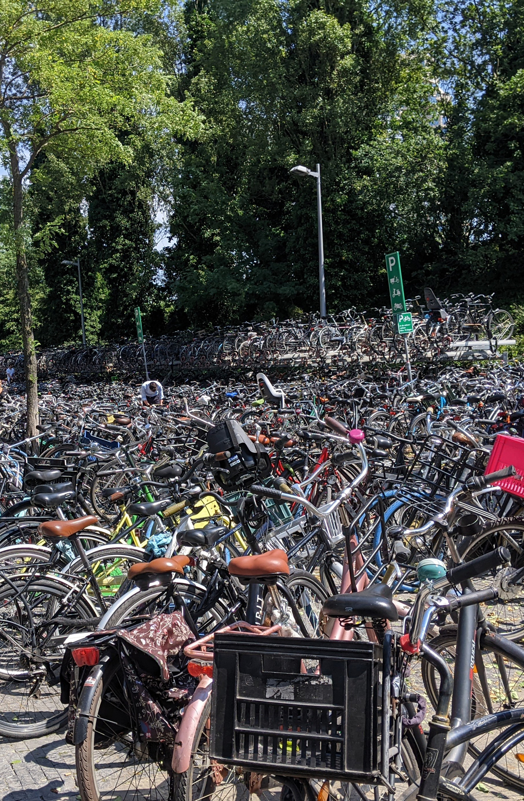 Bicycle park in Holland