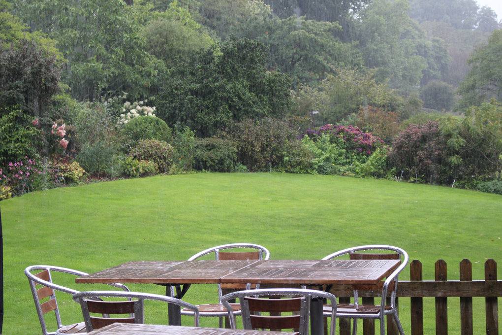 A lovely green lawn sets off a border of flowering shrubs, overlooked by a table and chairs in this beautiful Devon garden. Unfortunately, the sweeping rain is splashing off the table and dripping from the leaves, driving me indoors to a moreish cream tea.