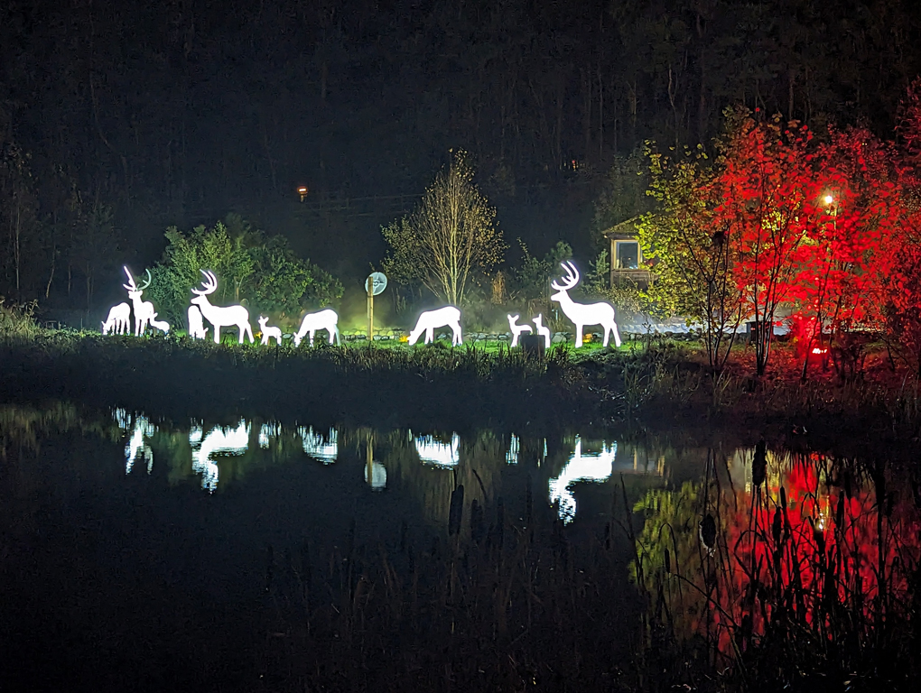 Illuminated reindeer