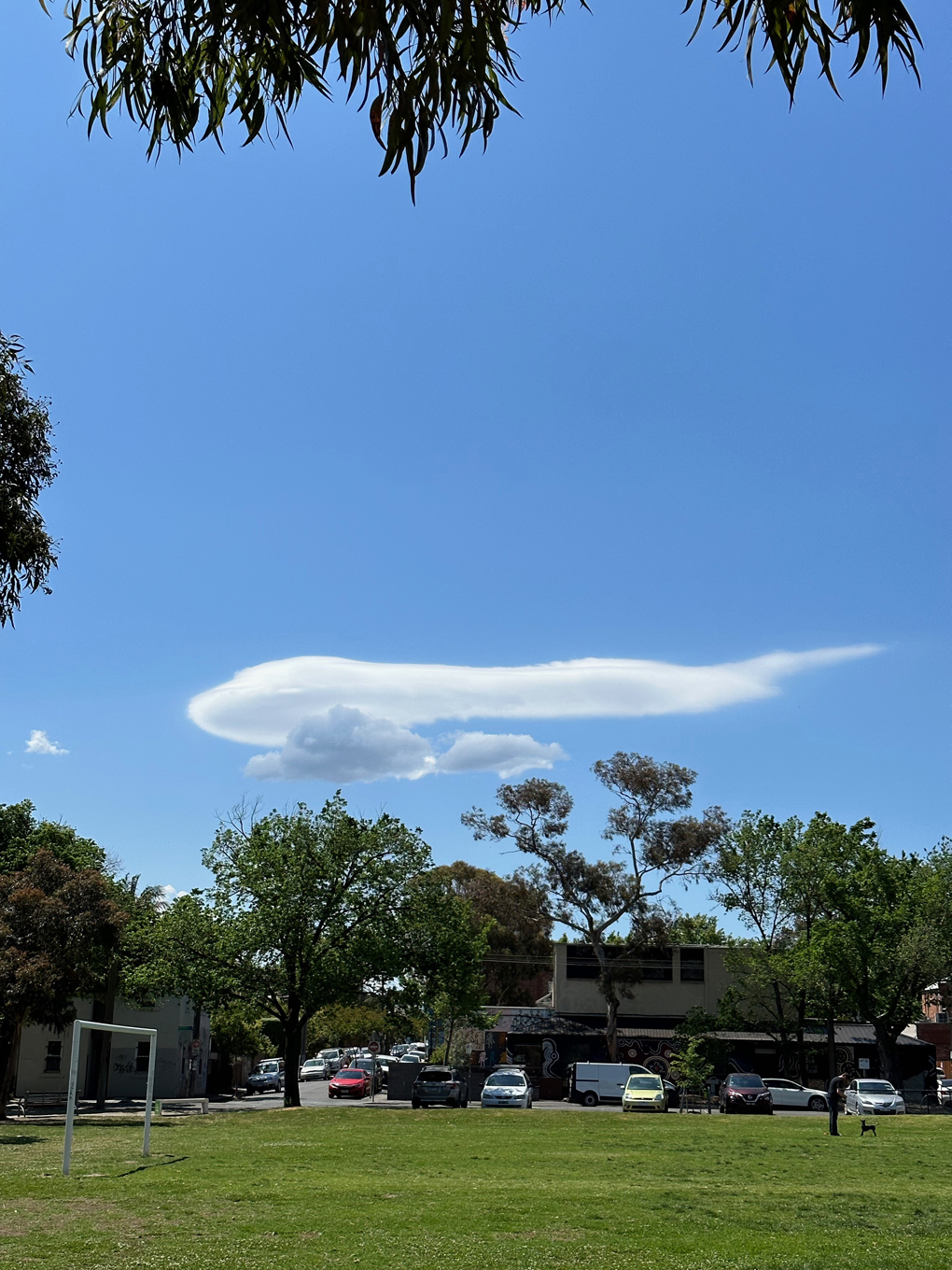 A park with trees and parked cards in the distance. Cloud formation in sky resembling a 747 jumbo jet.