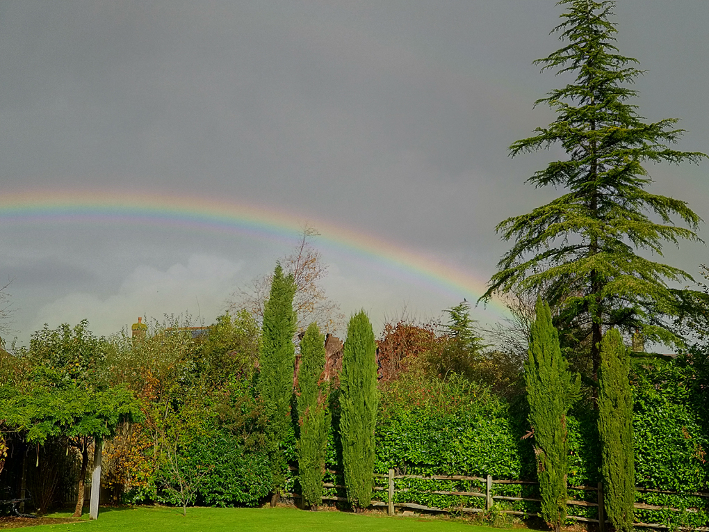 Autumn rainbow