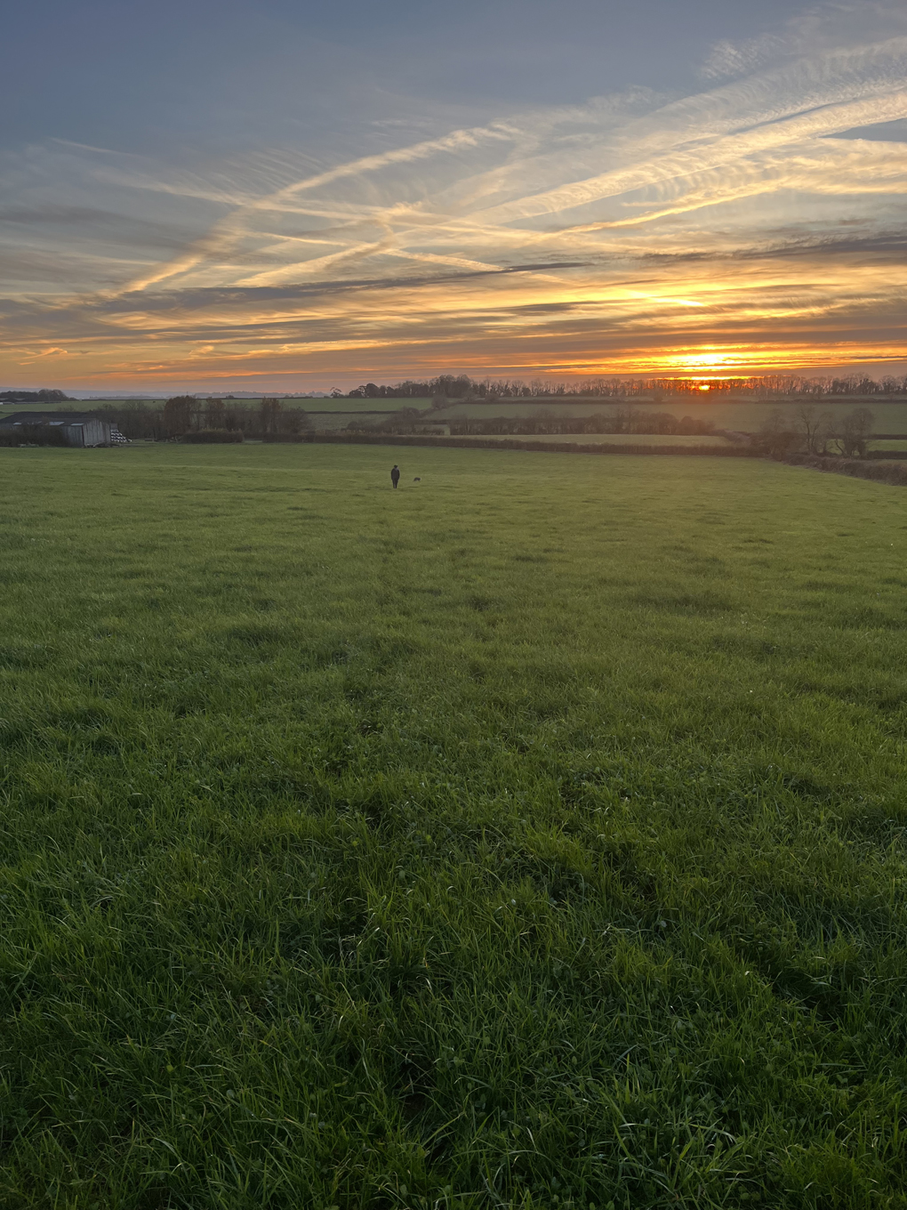 Walking through a field at sunset
