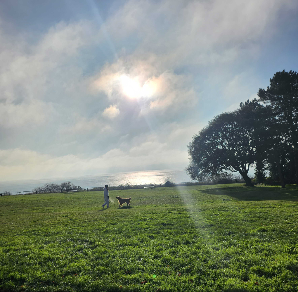 A lady and a dog stand on a patch of green. Behind is the sea. It is cloudy but sun rays peek through the cloud and the sun reflects a brilliant yellow off the bright blue sea