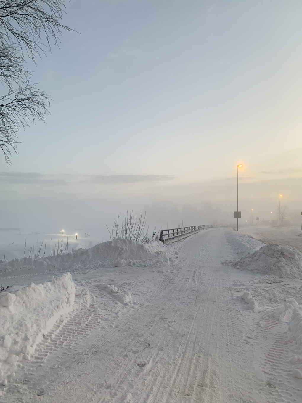 Snowy landscape